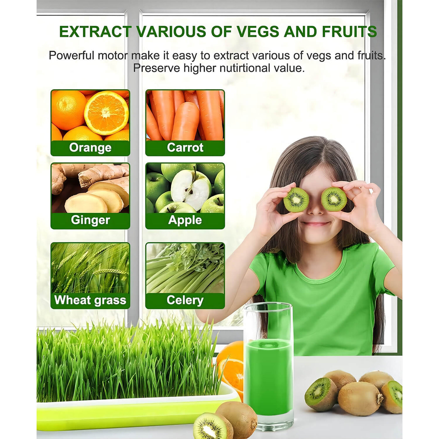 Aobosi Slow Masticating Juicer Cold Press Juicer Machine