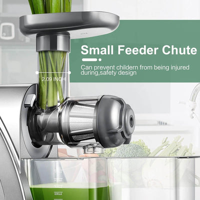 Aobosi Slow Masticating Juicer Cold Press Juicer Machine