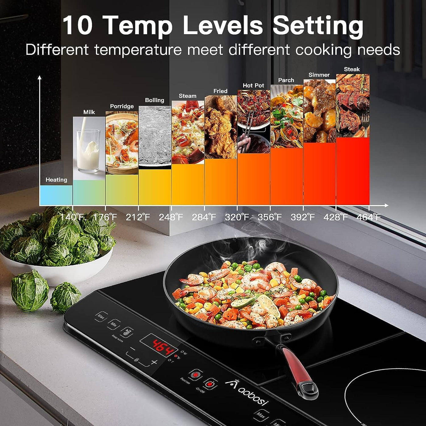 Double Induction Cooktop 10 temp level setting