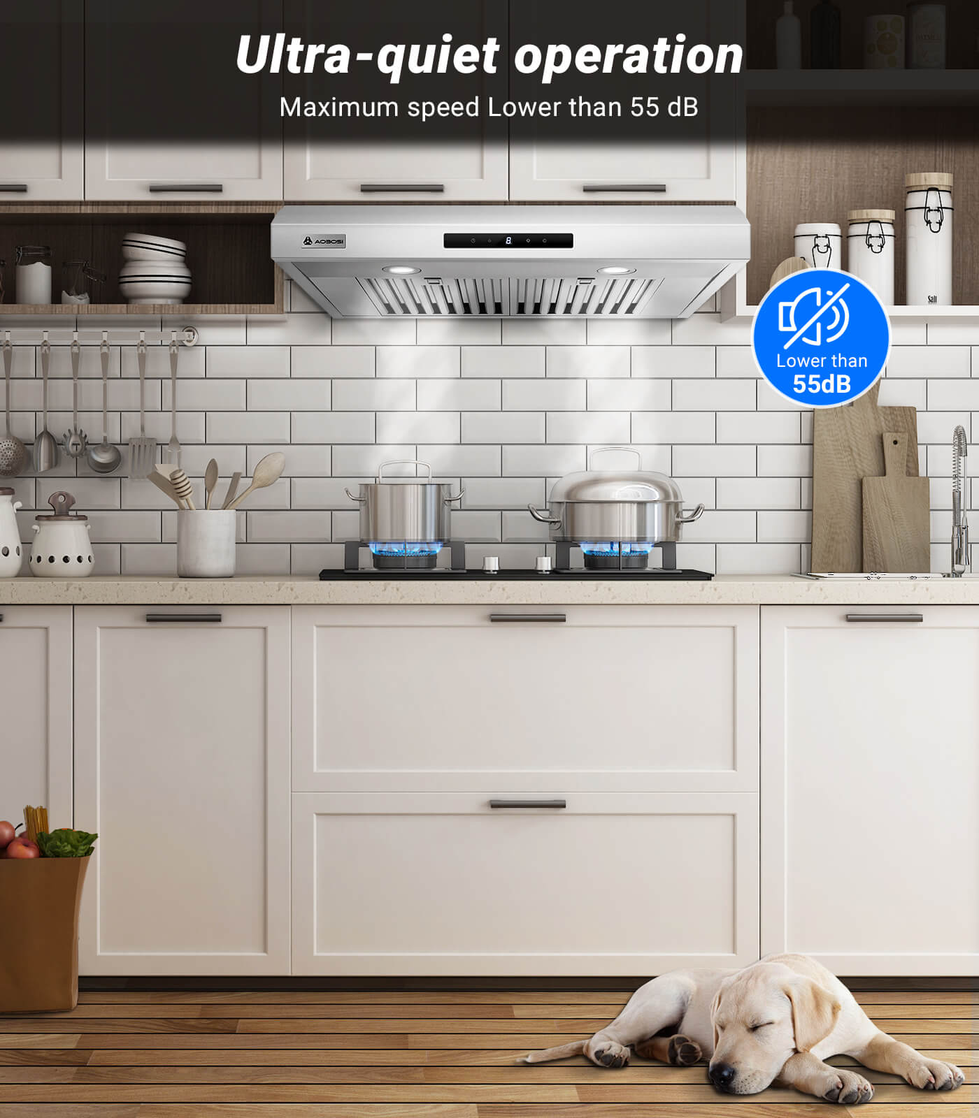AOBOSI Range Hood 30 Inch with APP/Voice/Touch 3 Ways Control 