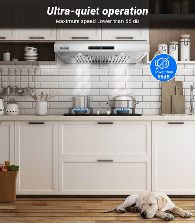 AOBOSI Range Hood 30 Inch with APP/Voice/Touch 3 Ways Control 