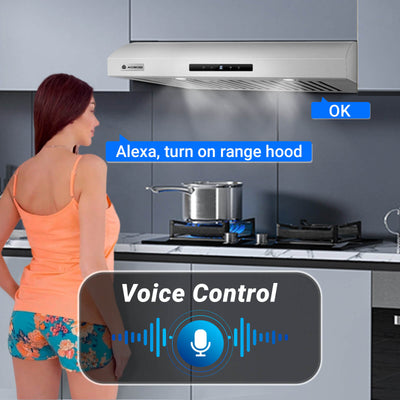 AOBOSI Range Hood 30 Inch with APP/Voice/Touch 3 Ways Control 