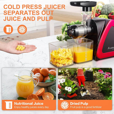 Aobosi Slow Masticating Juicer Machine Red AMR520