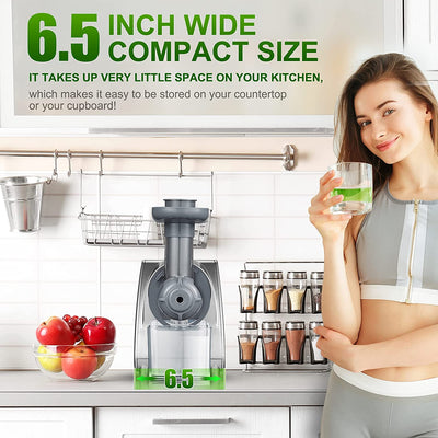 Aobosi Slow Masticating Juicer Cold Press Juicer Machine